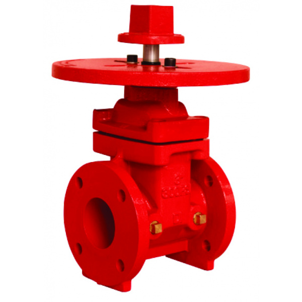 NRS End-Gate-Valve Type Vane With Flange – 300psi